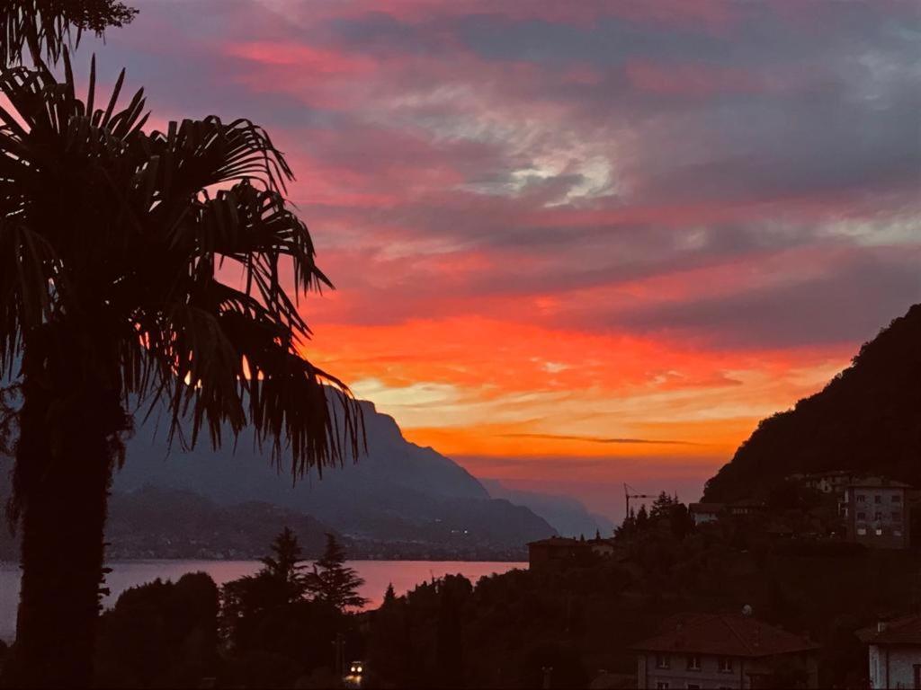 Villa Mojana Bellagio Oliveto Lario Exterior foto
